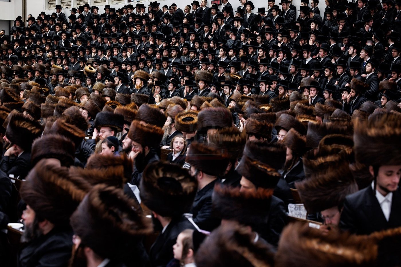 הילולא קדישא בבאבוב 45