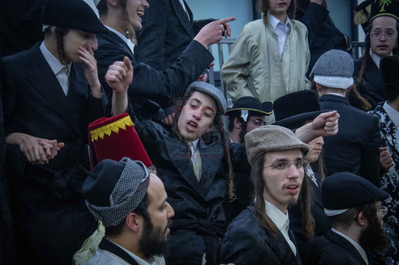 שושן פורים בחצה"ק ניקלשבורג