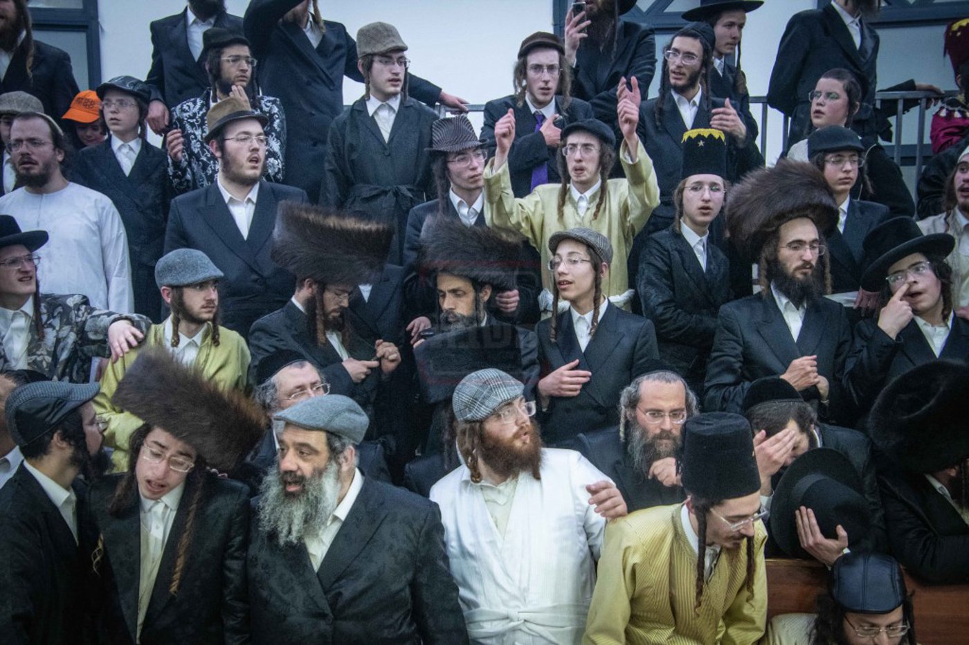 שושן פורים בחצה"ק ניקלשבורג