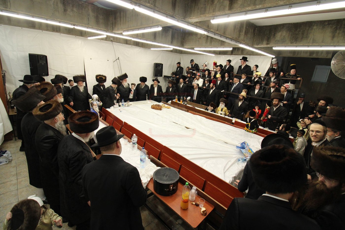 פורים בחצה"ק ביאלה רמת אהרן