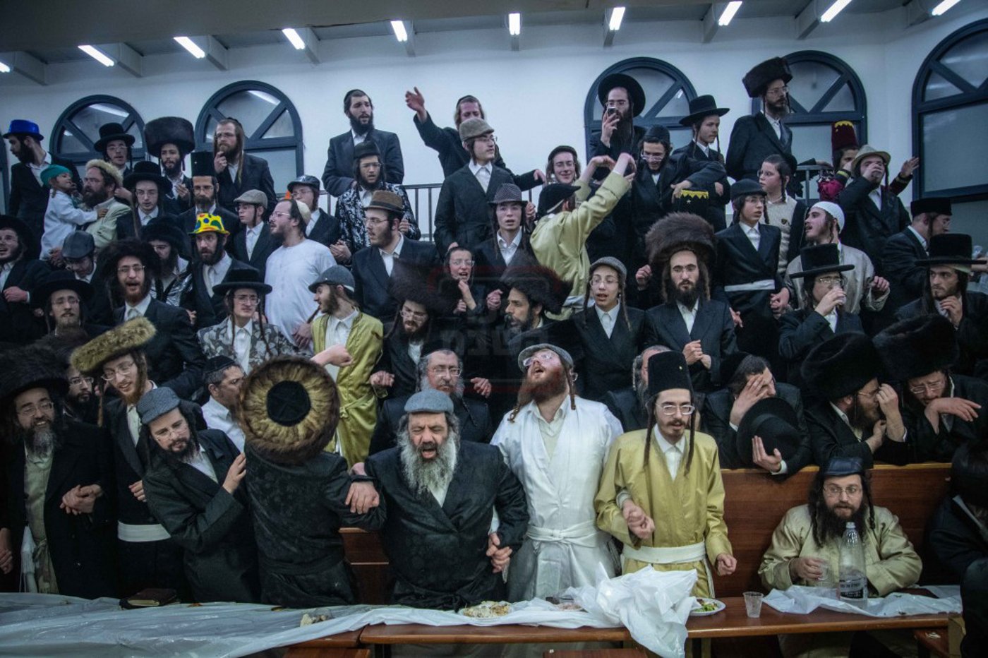 שושן פורים בחצה"ק ניקלשבורג