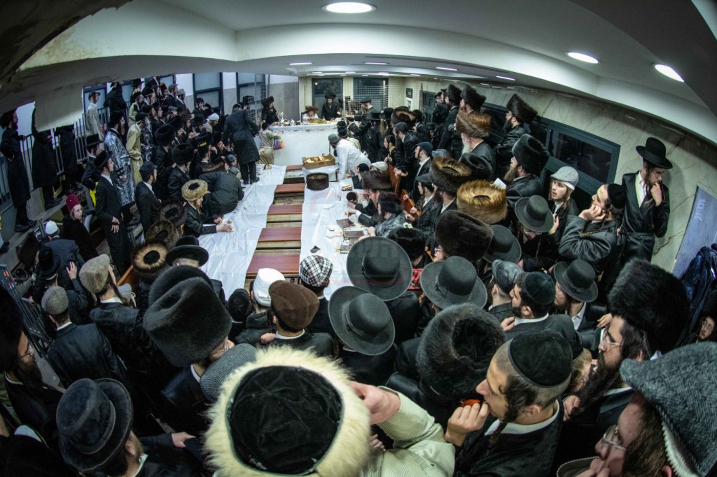 שושן פורים בחצה"ק ניקלשבורג