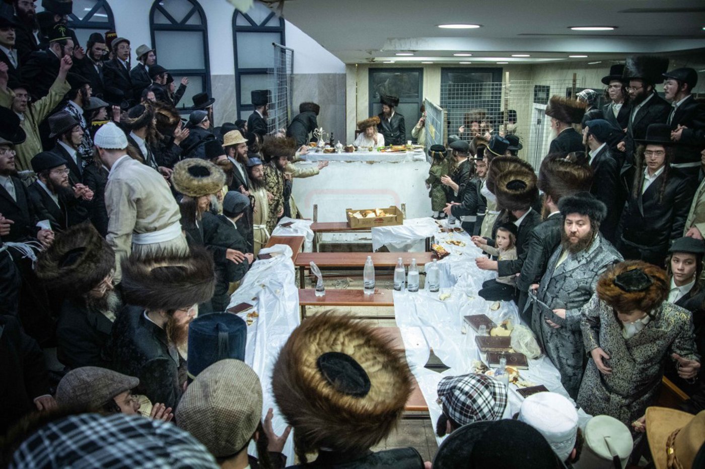 שושן פורים בחצה"ק ניקלשבורג