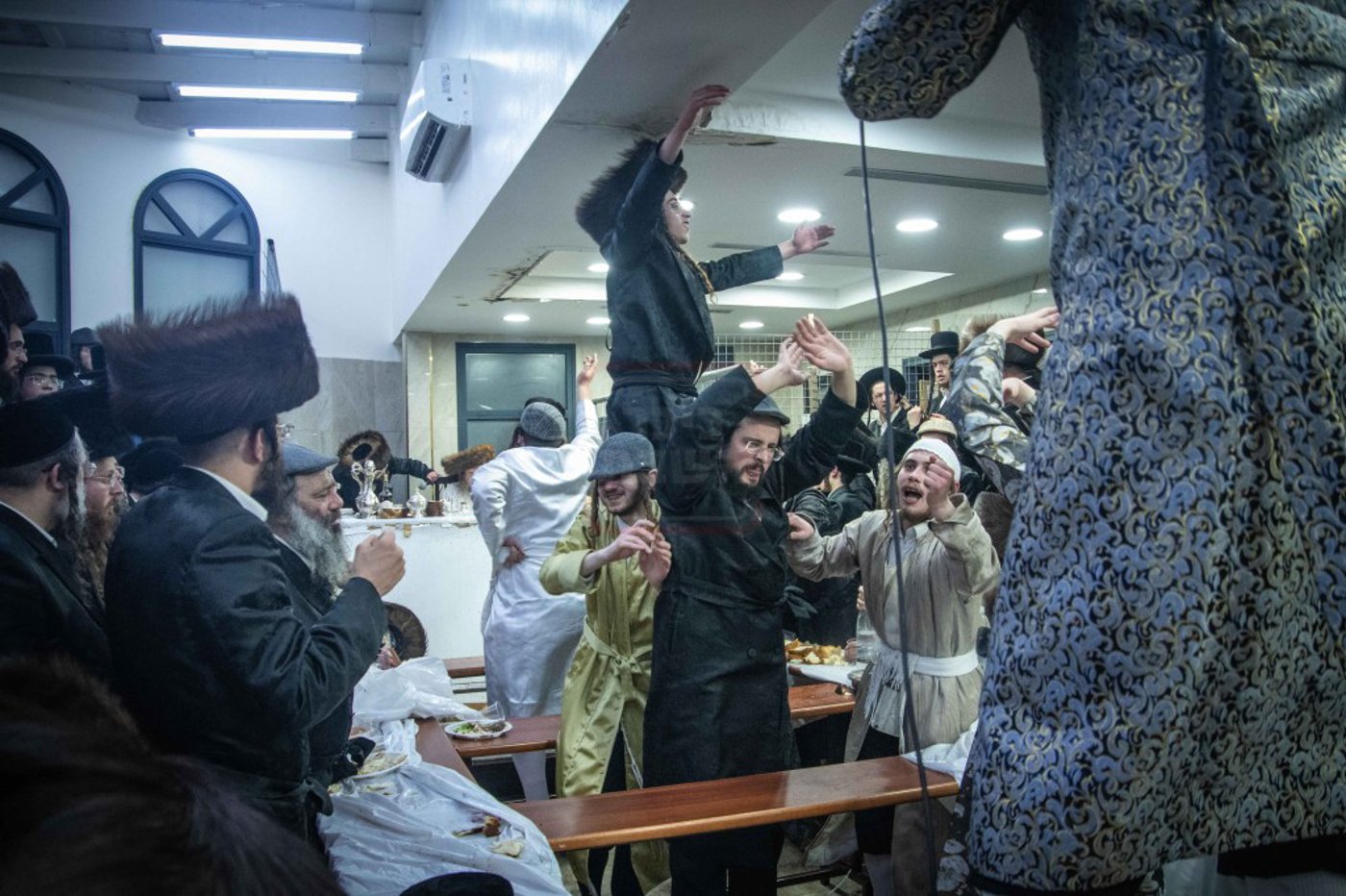 שושן פורים בחצה"ק ניקלשבורג