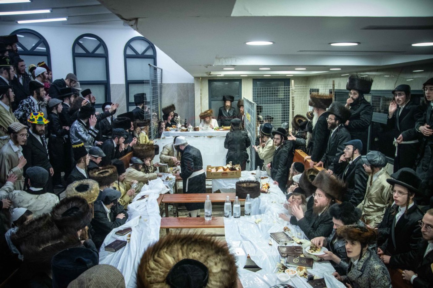 שושן פורים בחצה"ק ניקלשבורג