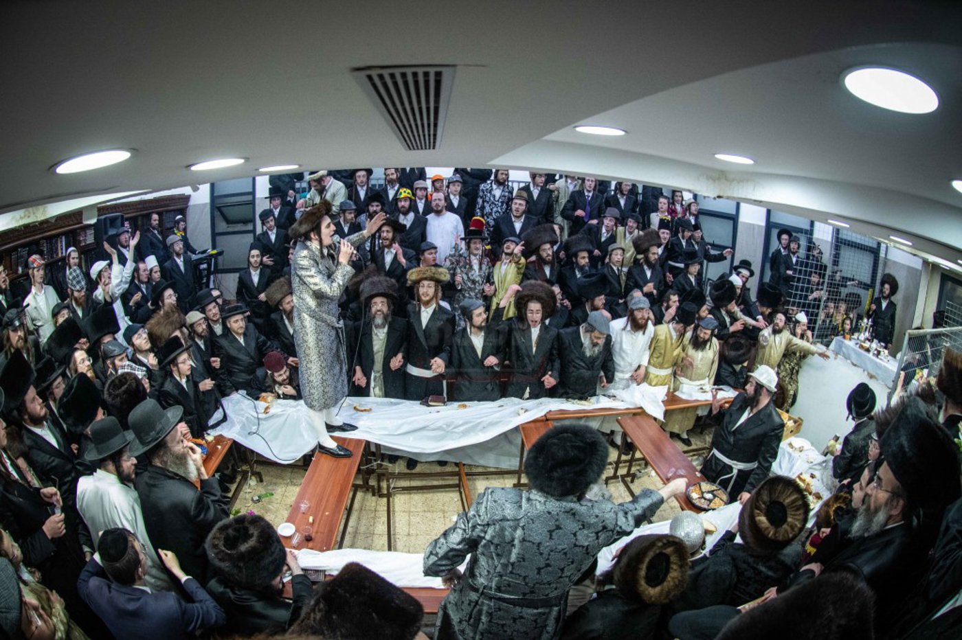 שושן פורים בחצה"ק ניקלשבורג