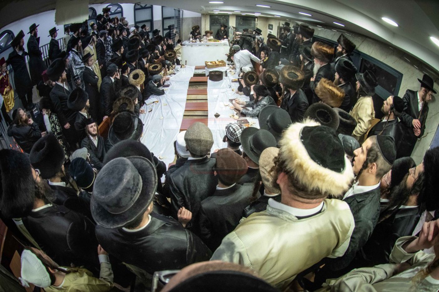 שושן פורים בחצה"ק ניקלשבורג