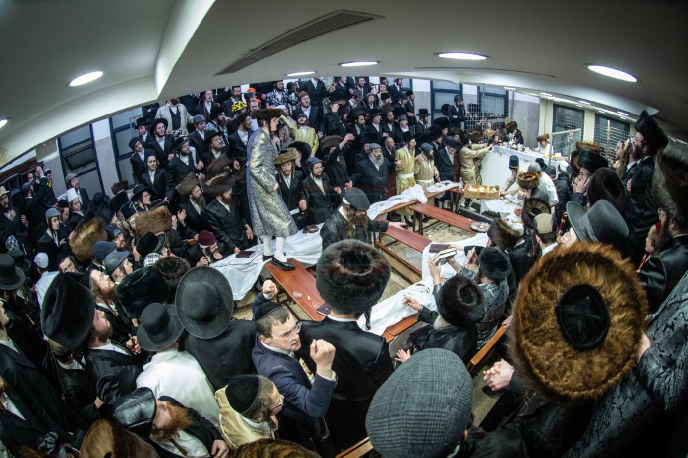 שושן פורים בחצה"ק ניקלשבורג