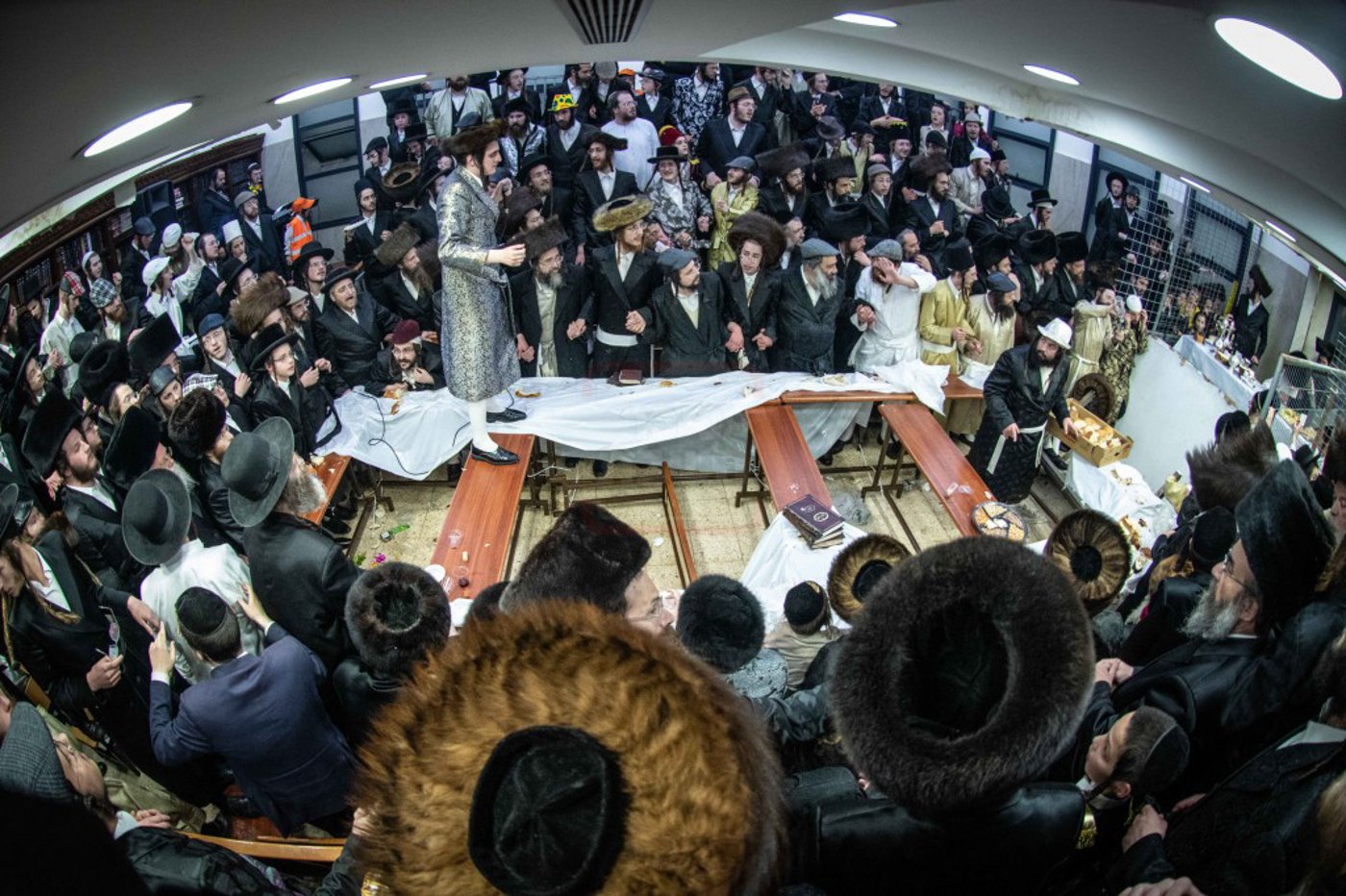 שושן פורים בחצה"ק ניקלשבורג