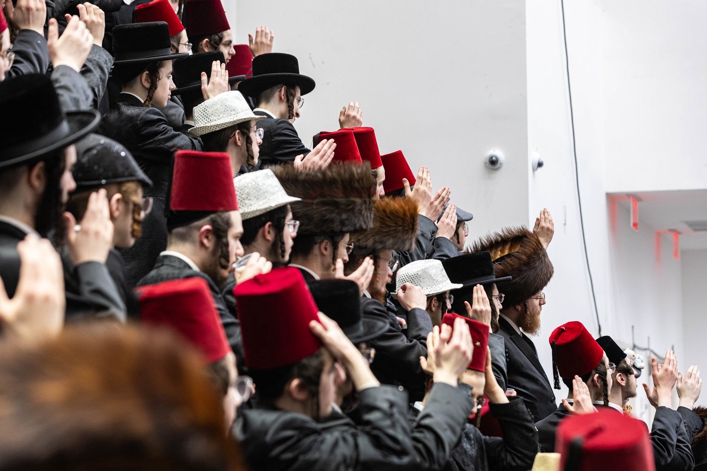 פורים בחצה"ק באבוב 45