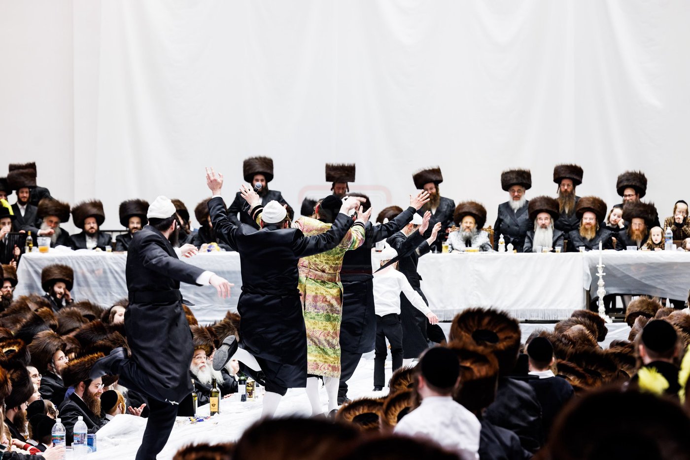 פורים בחצה"ק באבוב 45