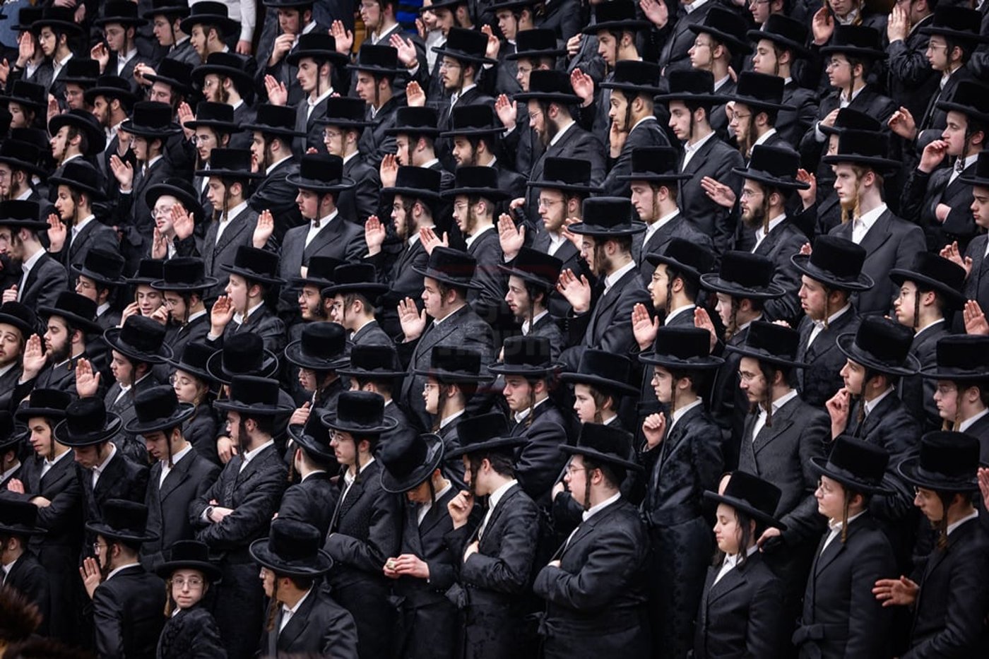 פורים בחצה"ק צאנז קלויזנבורג