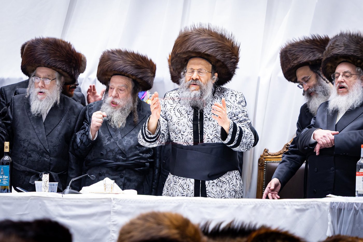 פורים בחצה"ק באבוב 45