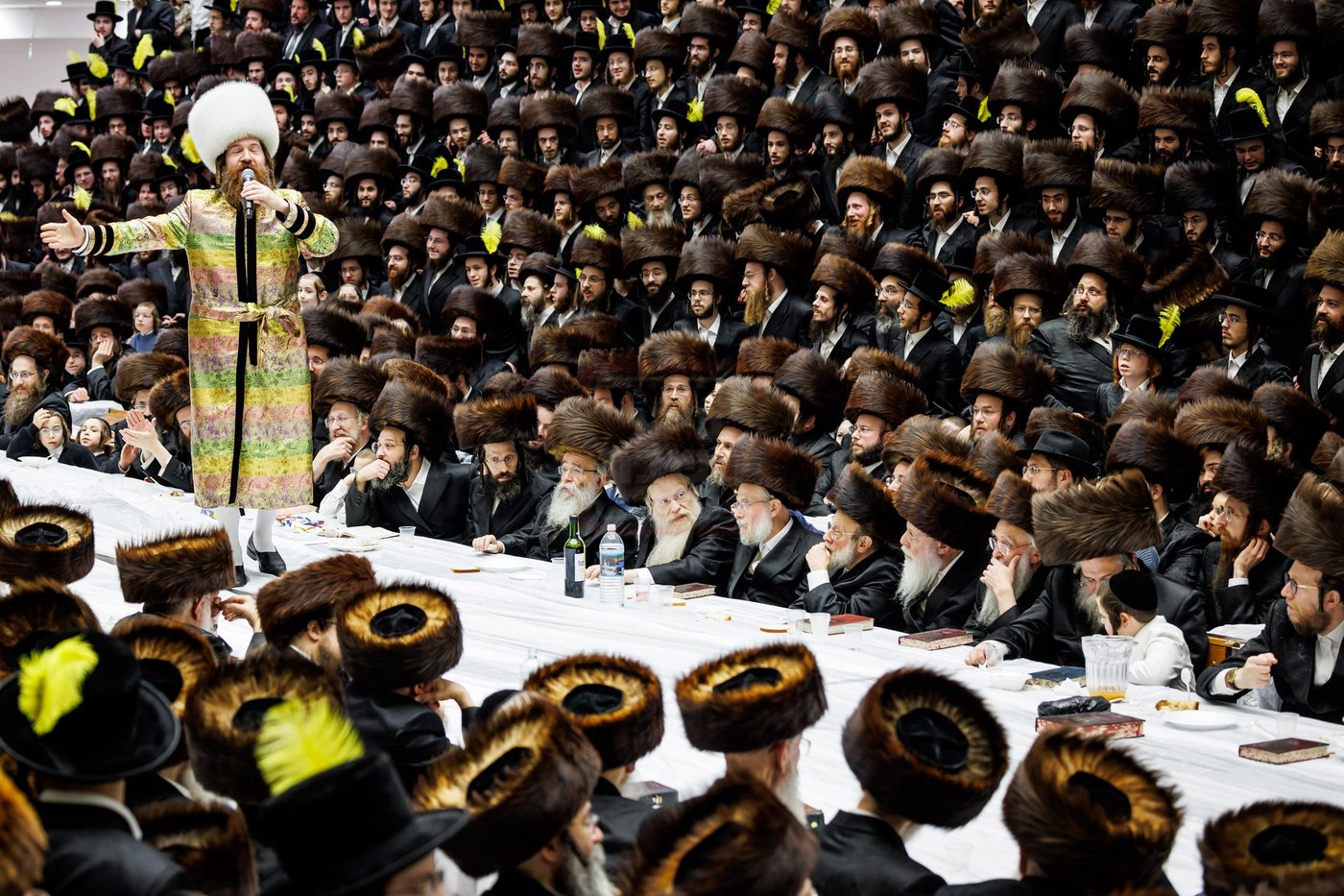 פורים בחצה"ק באבוב 45