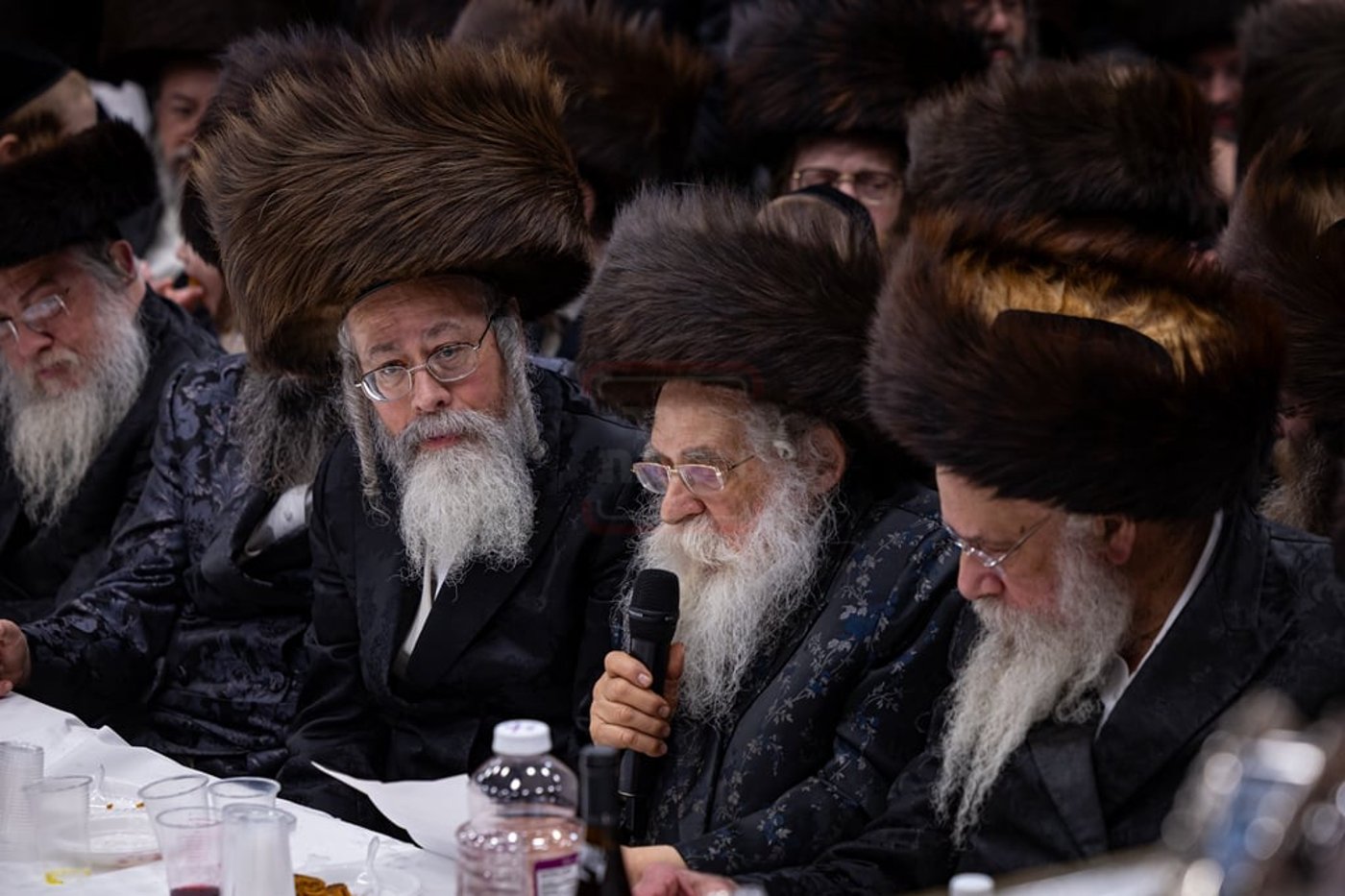 פורים בחצה"ק צאנז קלויזנבורג