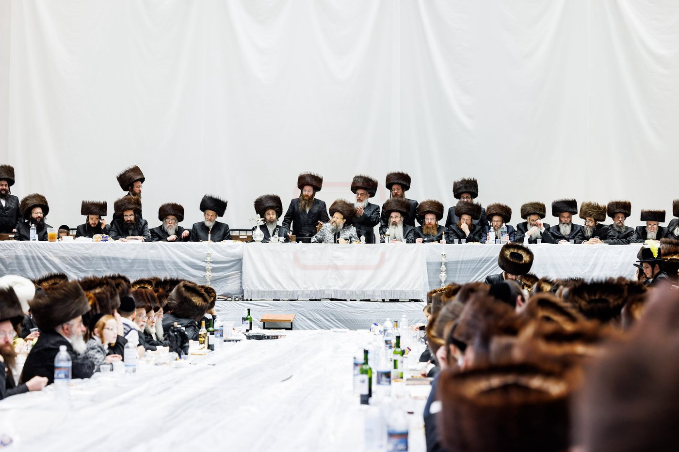 פורים בחצה"ק באבוב 45