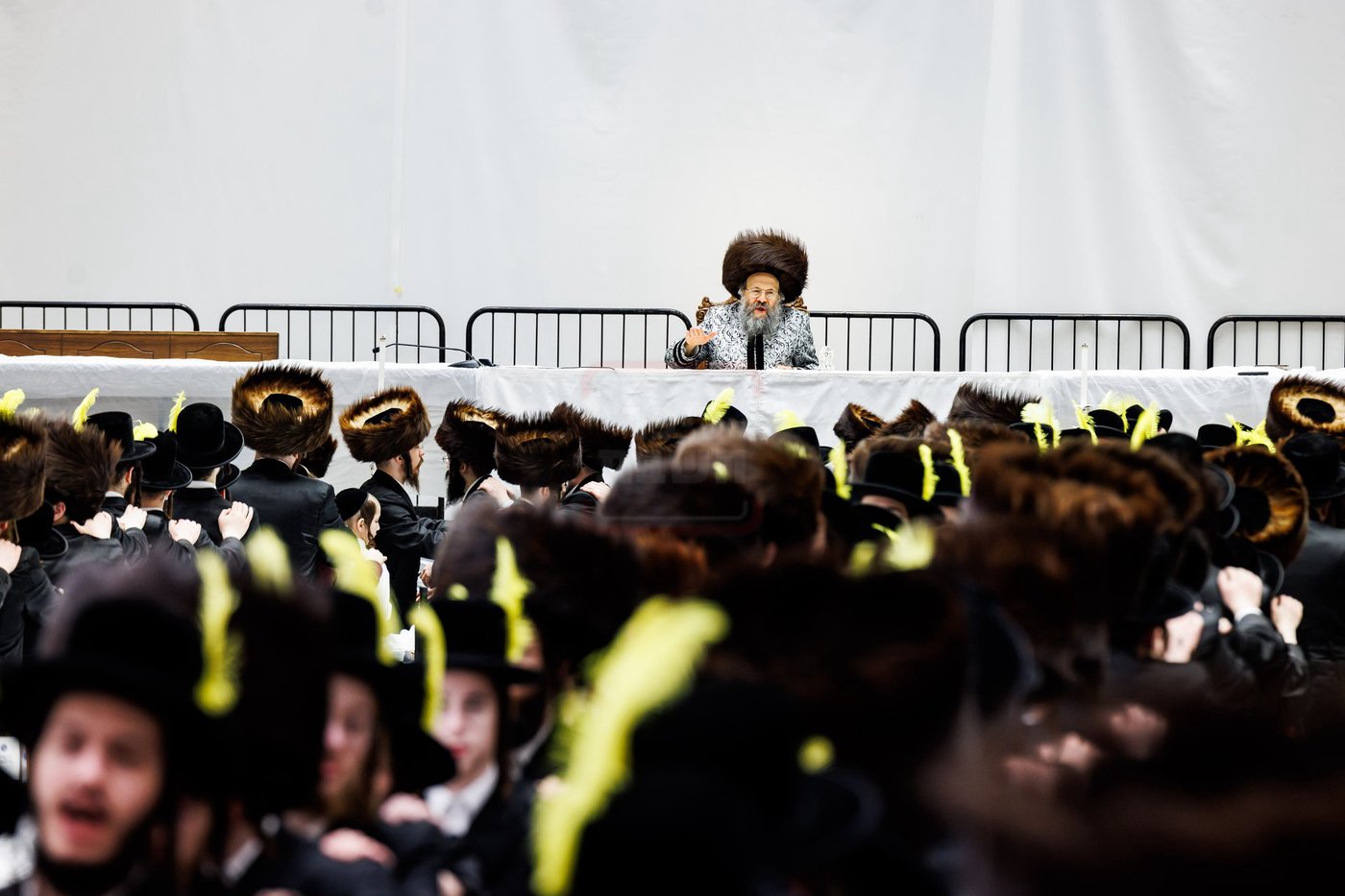 פורים בחצה"ק באבוב 45