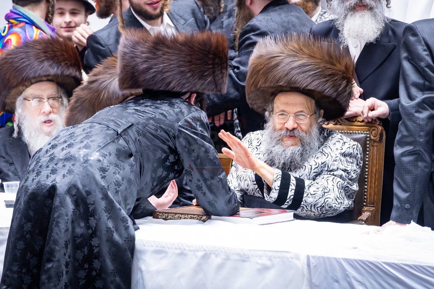 פורים בחצה"ק באבוב 45