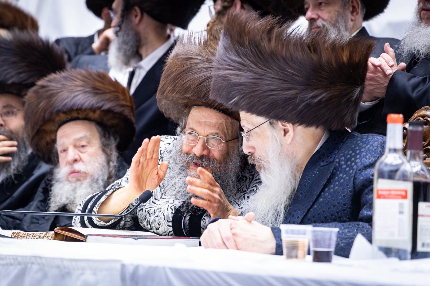 פורים בחצה"ק באבוב 45