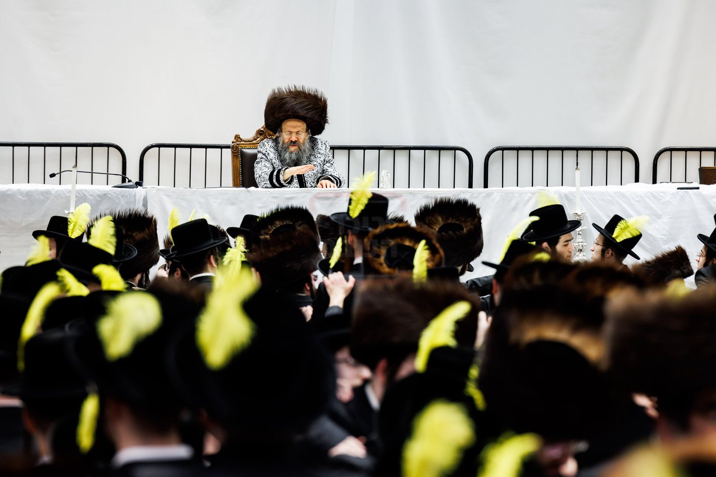 פורים בחצה"ק באבוב 45