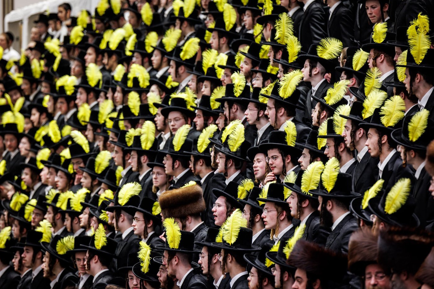 פורים בחצה"ק באבוב 45