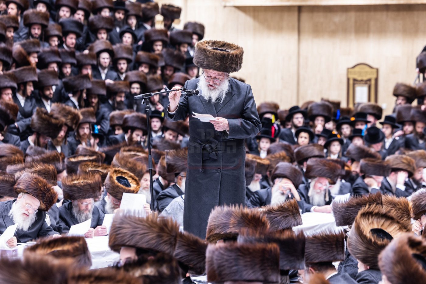 פורים בחצה"ק באבוב