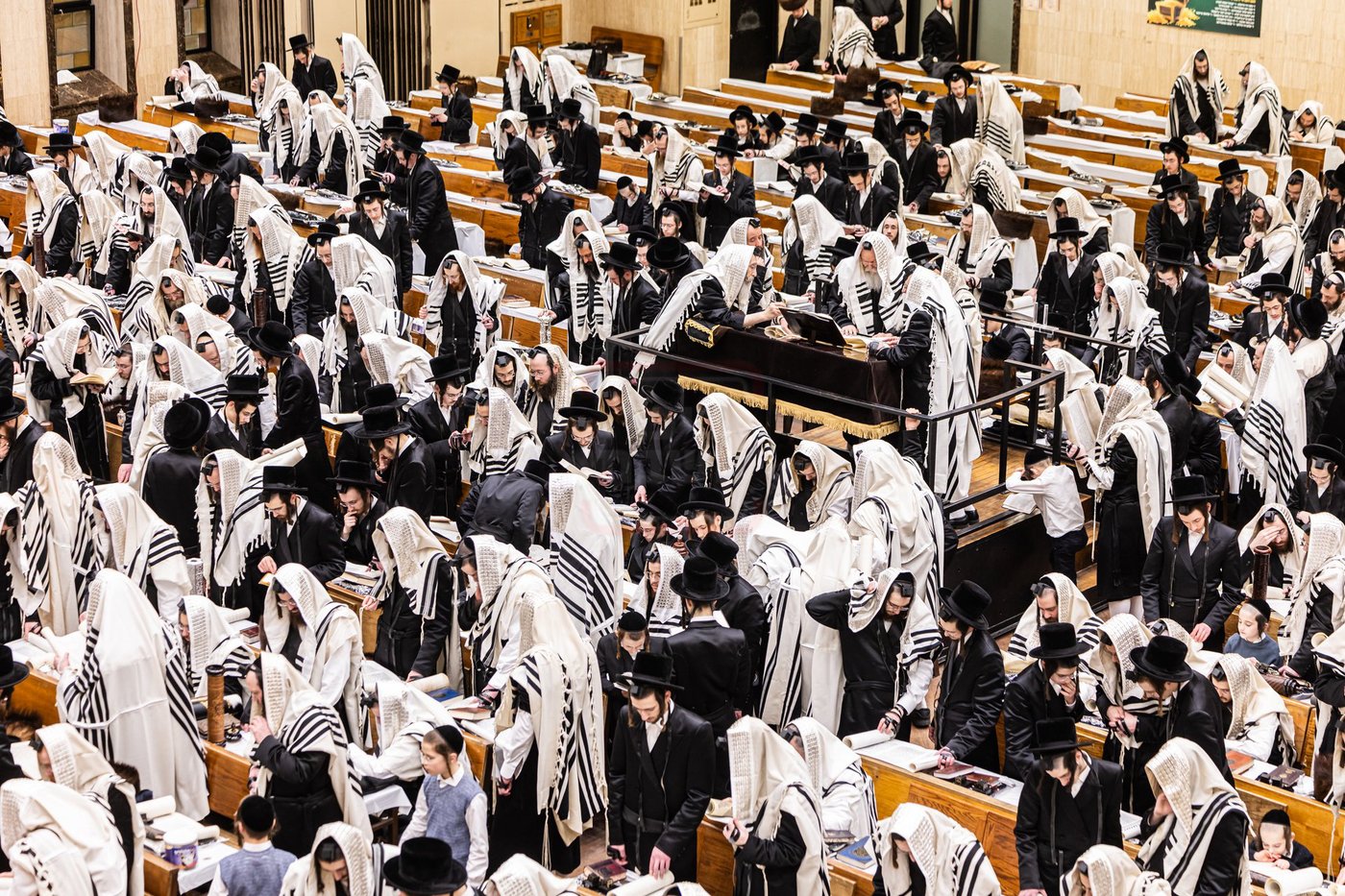 פורים בחצה"ק באבוב