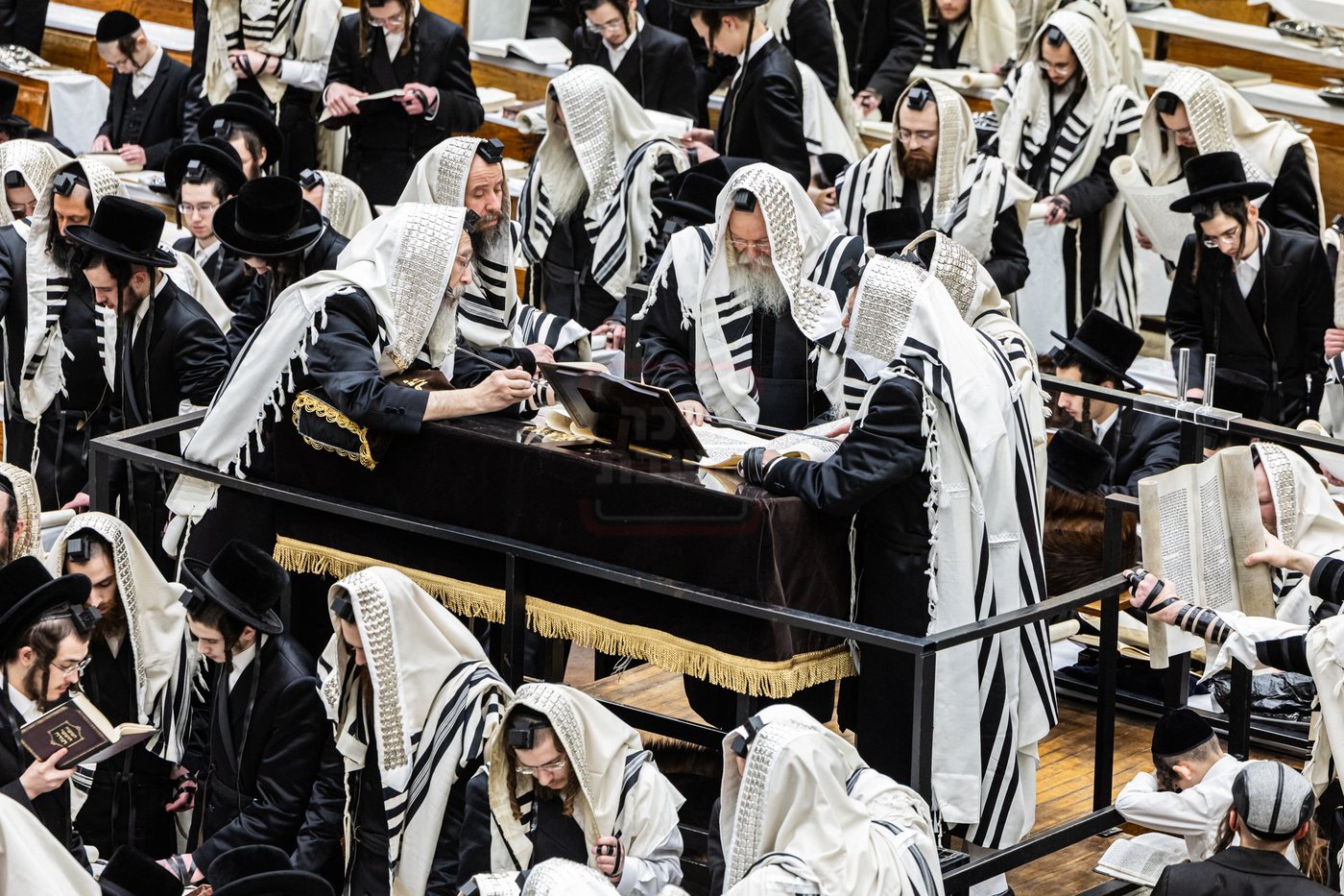 פורים בחצה"ק באבוב