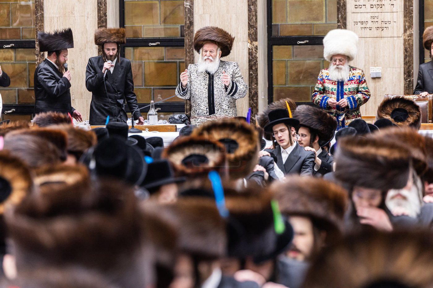 פורים בחצה"ק באבוב