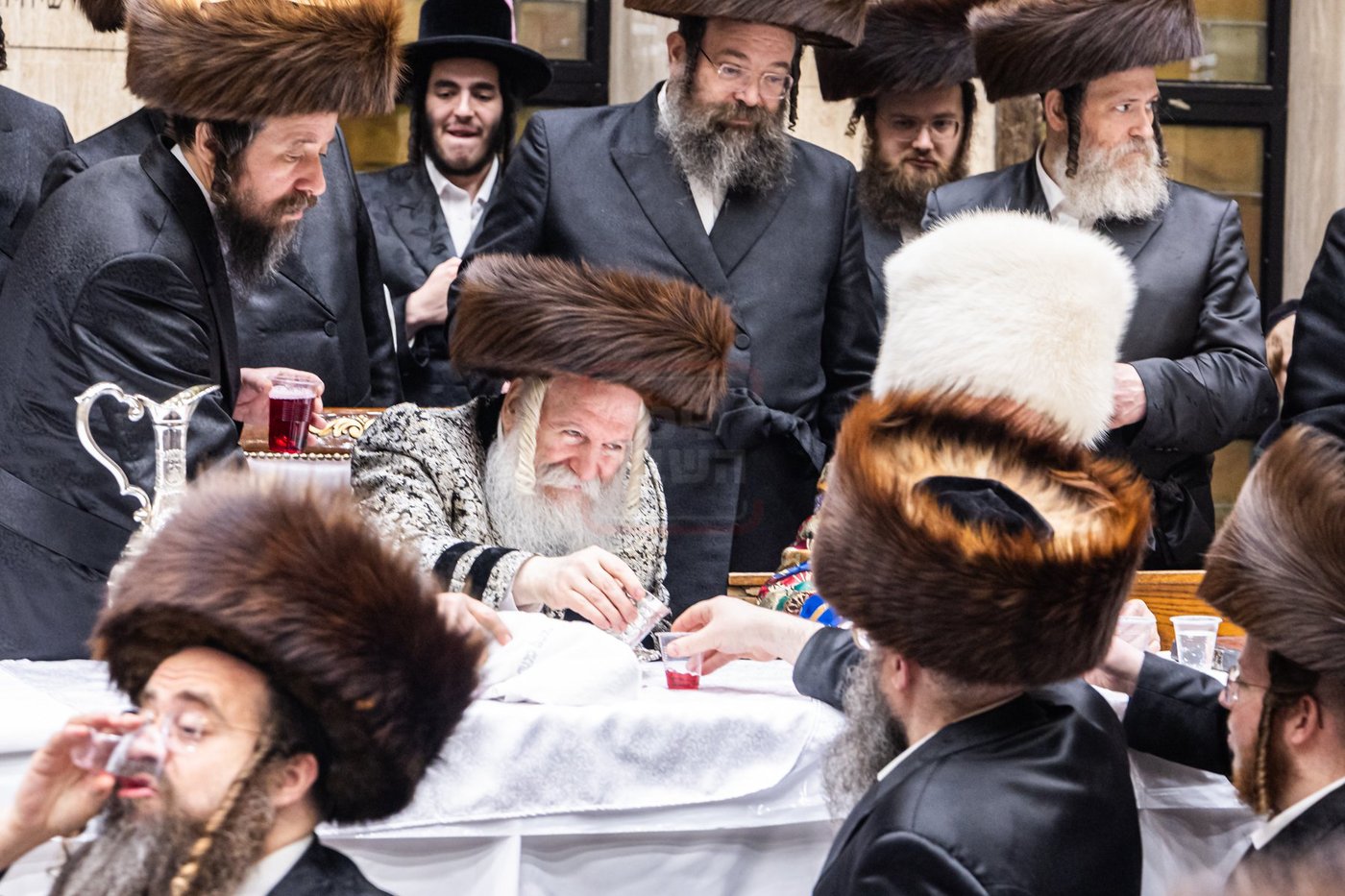 פורים בחצה"ק באבוב