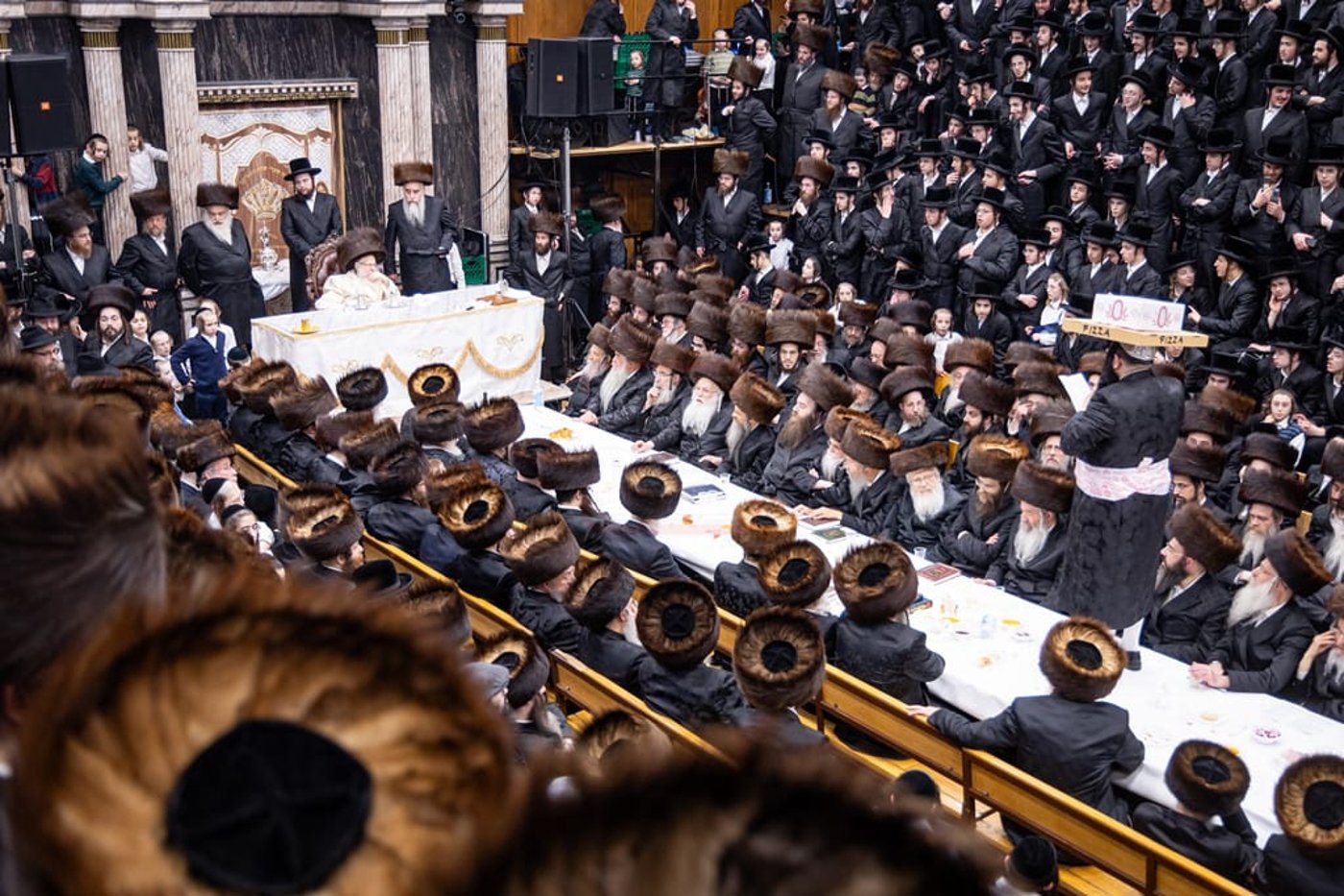 זיידלע חוזר | מהאדמו"ר שתקע בשופר בחודש אדר ועד לחסידים שכבשו את סיני; סיכום שבועי שאסור לפספס!