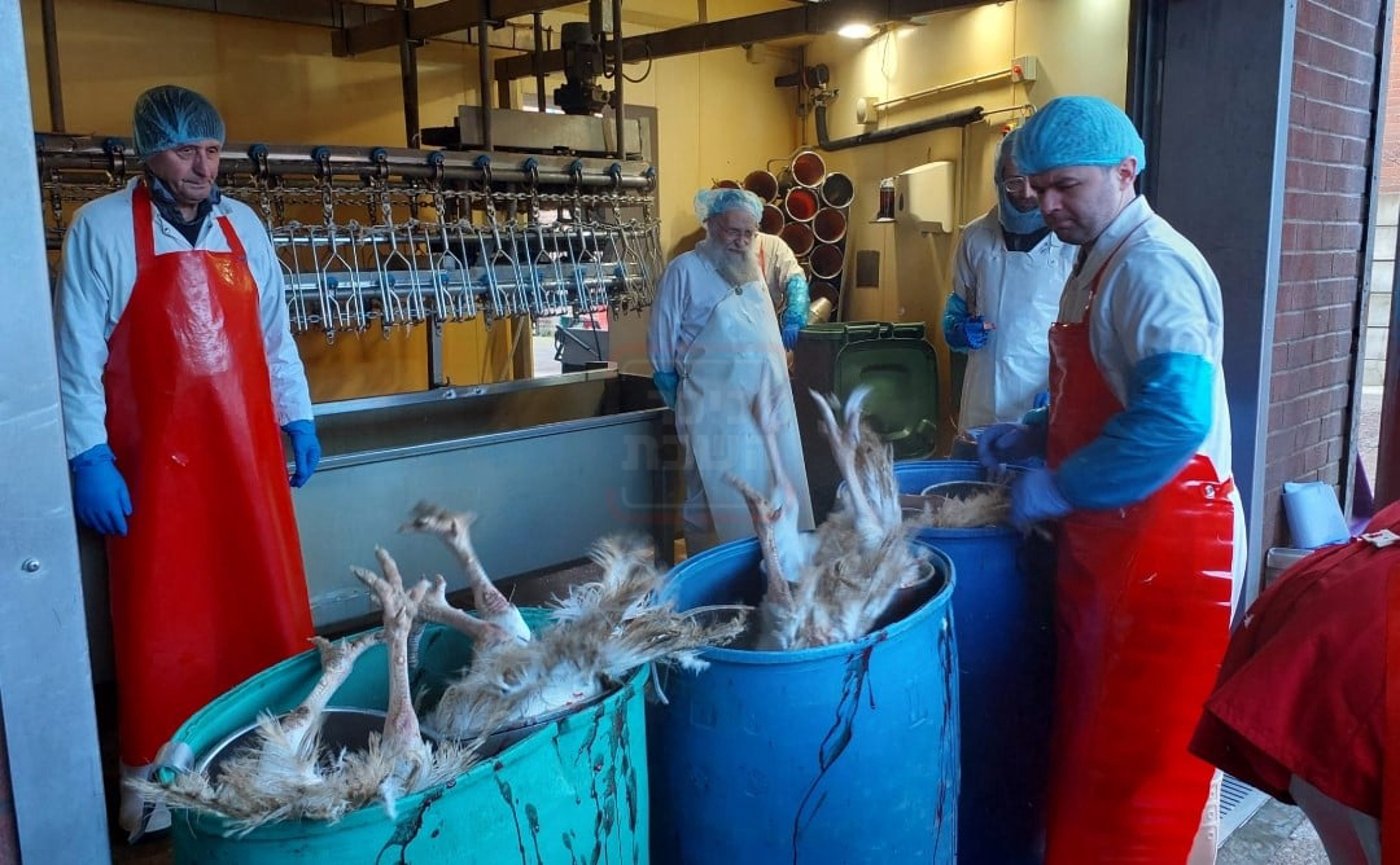 זיידלע חוזר | מהאדמו"ר שתקע בשופר בחודש אדר ועד לחסידים שכבשו את סיני; סיכום שבועי שאסור לפספס!