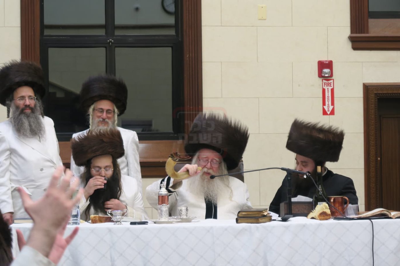 זיידלע חוזר | מהאדמו"ר שתקע בשופר בחודש אדר ועד לחסידים שכבשו את סיני; סיכום שבועי שאסור לפספס!