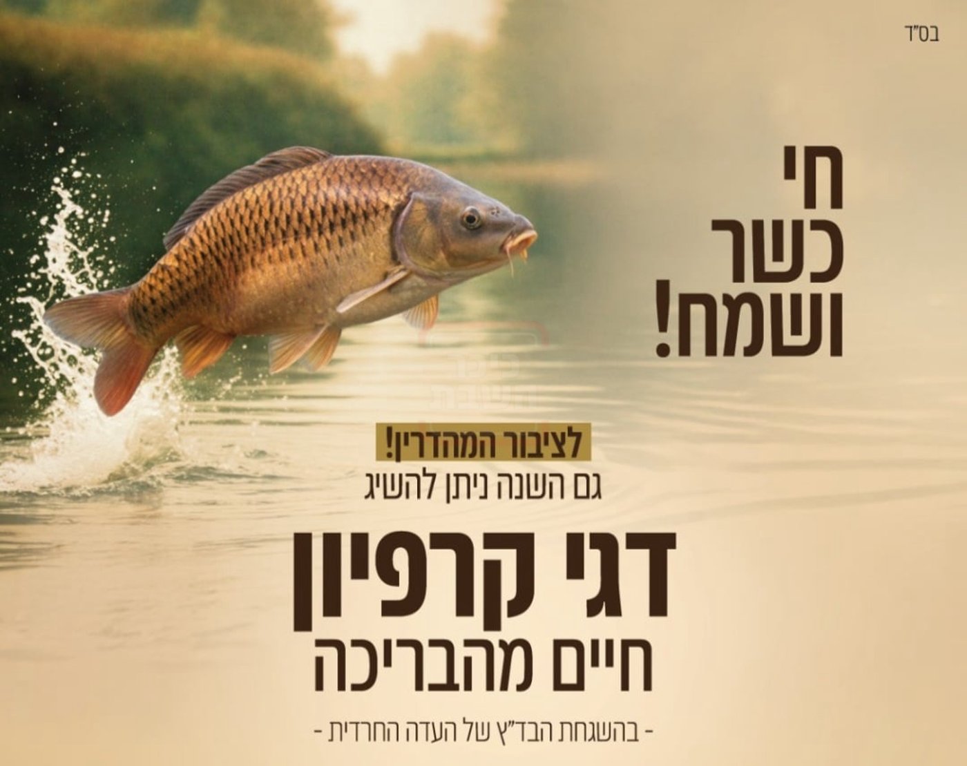 זיידלע חוזר | מהאדמו"ר שתקע בשופר בחודש אדר ועד לחסידים שכבשו את סיני; סיכום שבועי שאסור לפספס!