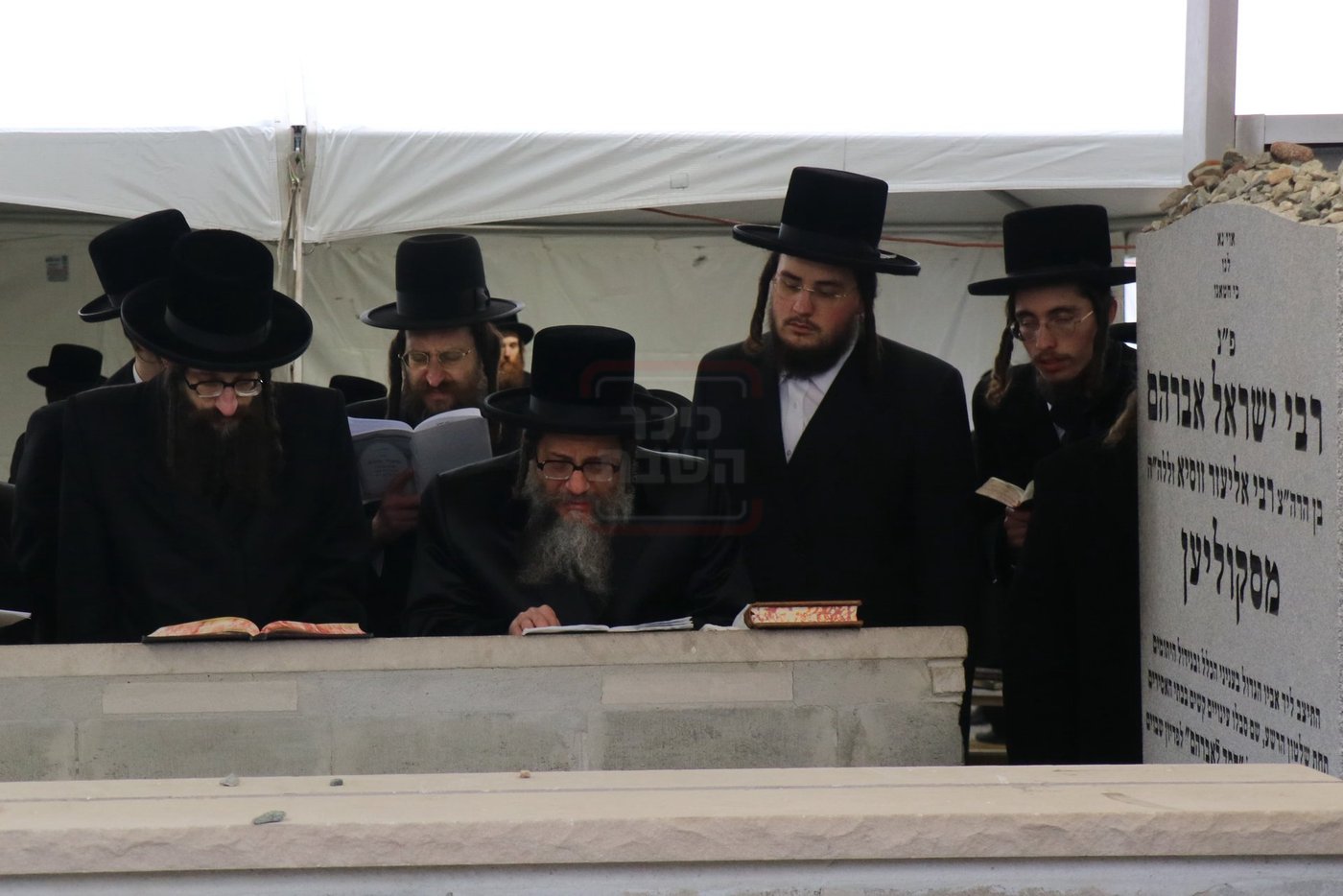 הילולא קדישא בסקולען