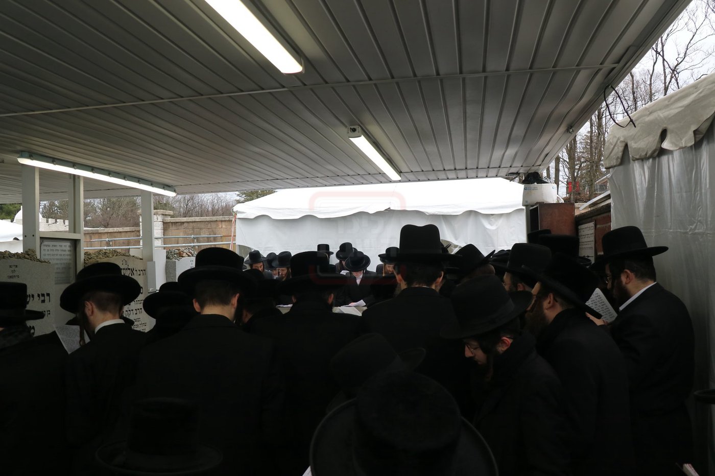 הילולא קדישא בסקולען