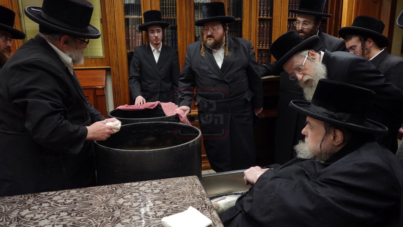 האדמו"ר מבעלזא בבדיקת הדגים לקראת פסח