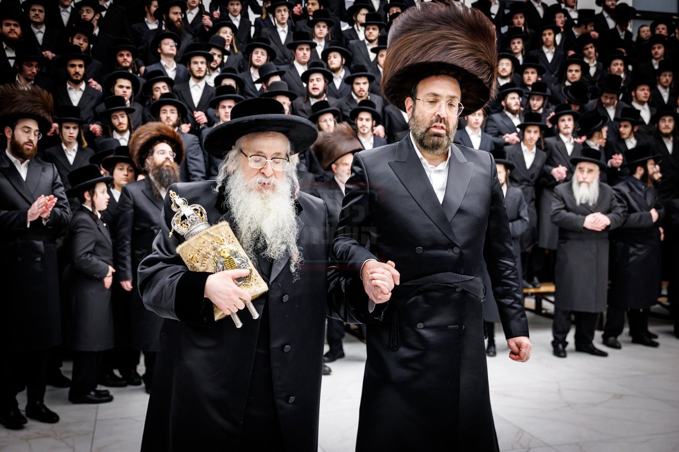 הכנסת ספר תורה בצאנז קלויזנבורג