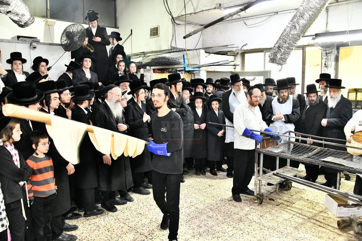 האדמו"ר מסאדיגורה באפיית המצות 