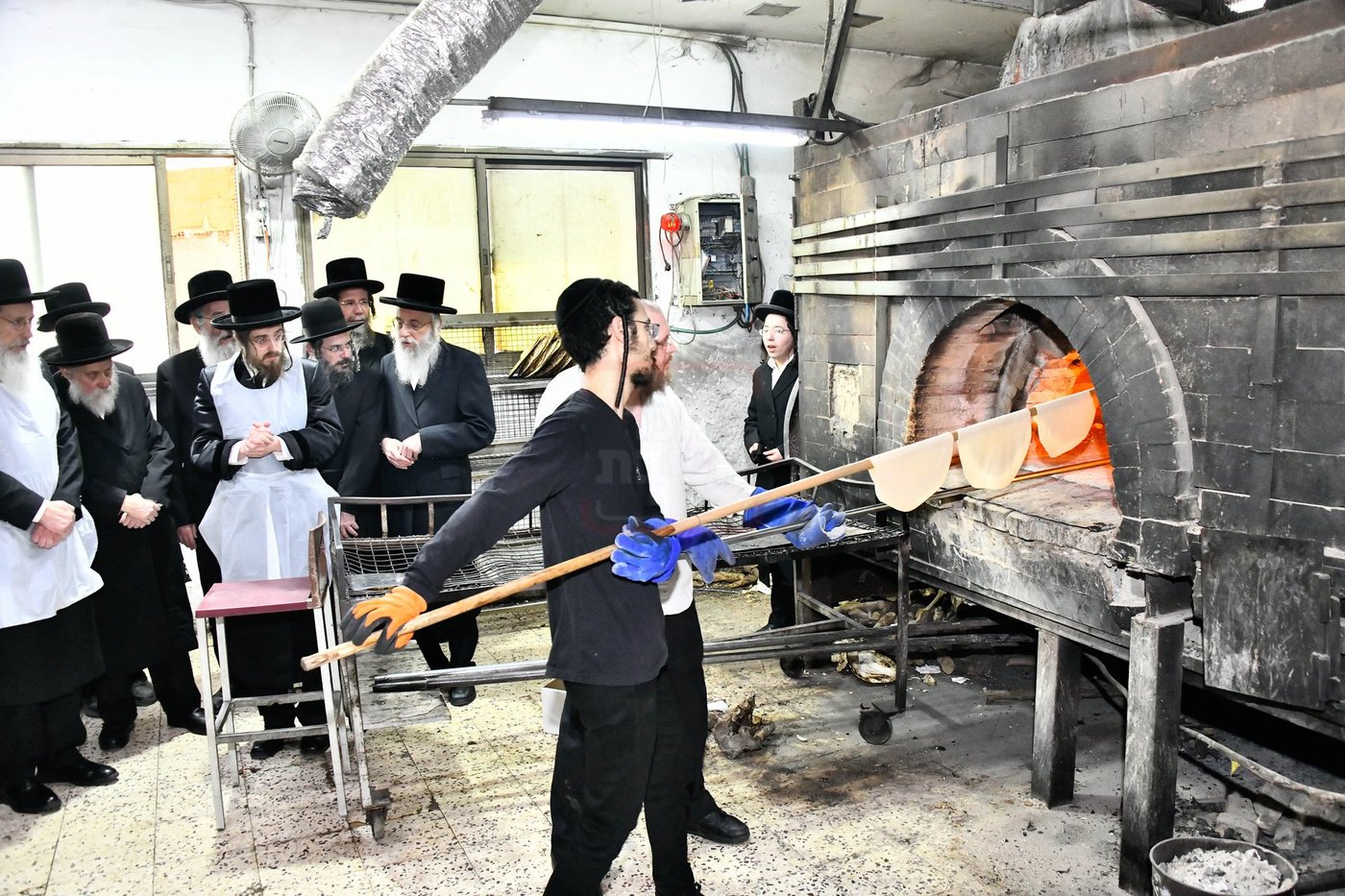 האדמו"ר מסאדיגורה באפיית המצות 