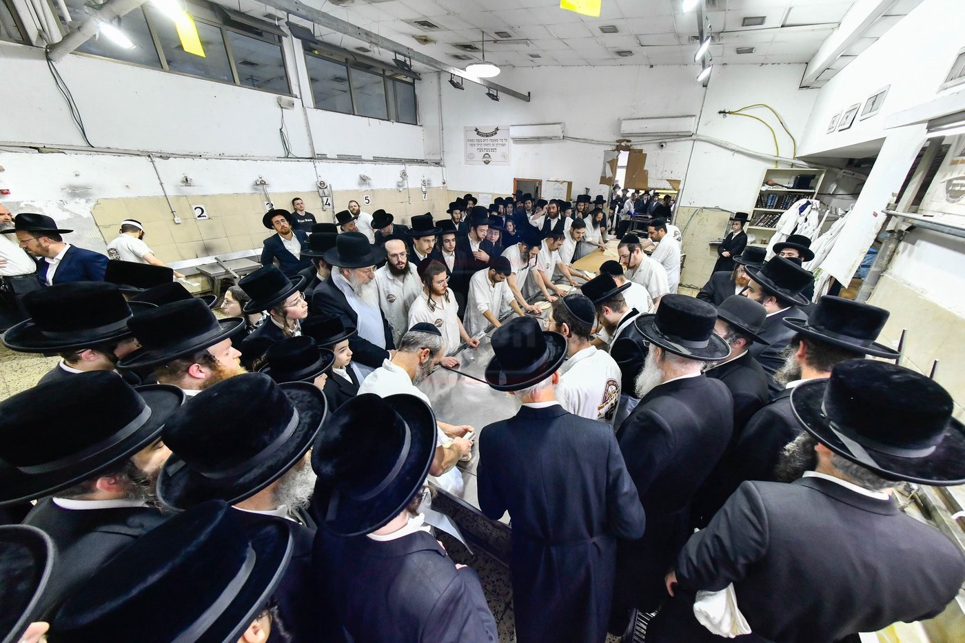 האדמו"ר מסאדיגורה באפיית המצות 