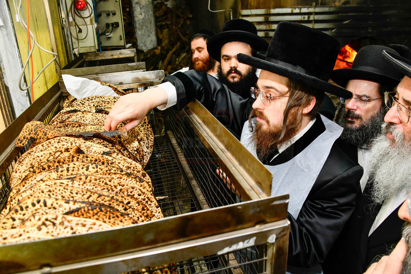 האדמו"ר מסאדיגורה באפיית המצות 