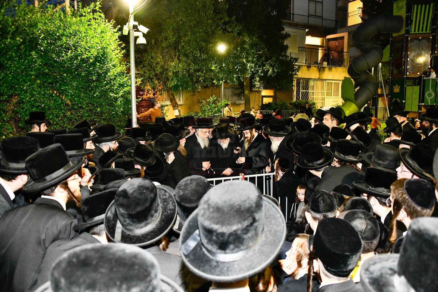 האדמו"ר מסאדיגורה במים שלנו