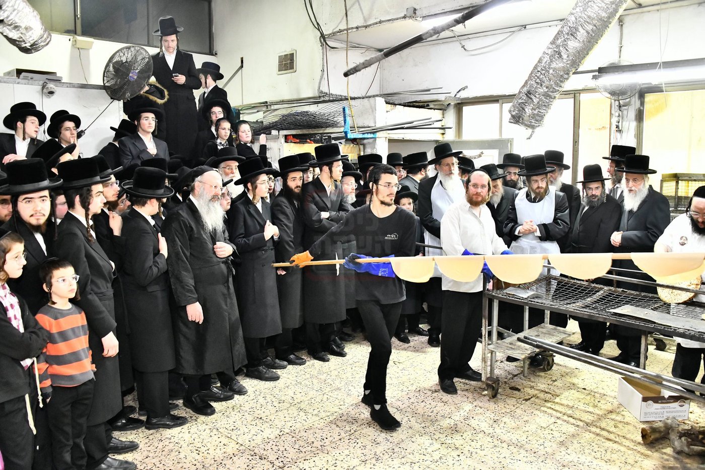 האדמו"ר מסאדיגורה באפיית המצות 