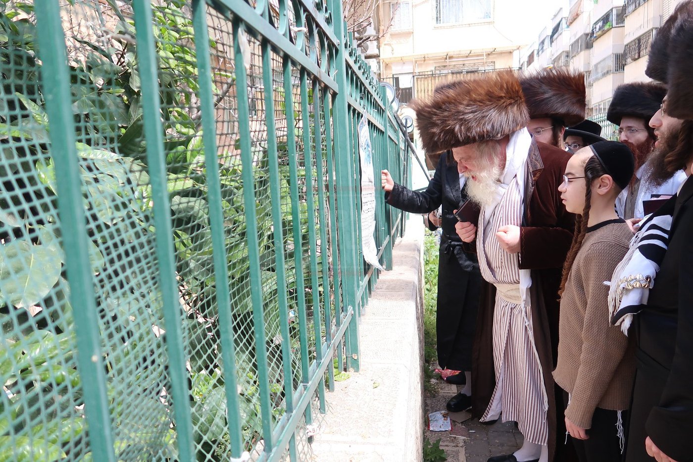 האדמו"ר ממבקשי אמונה בברכת האילנות