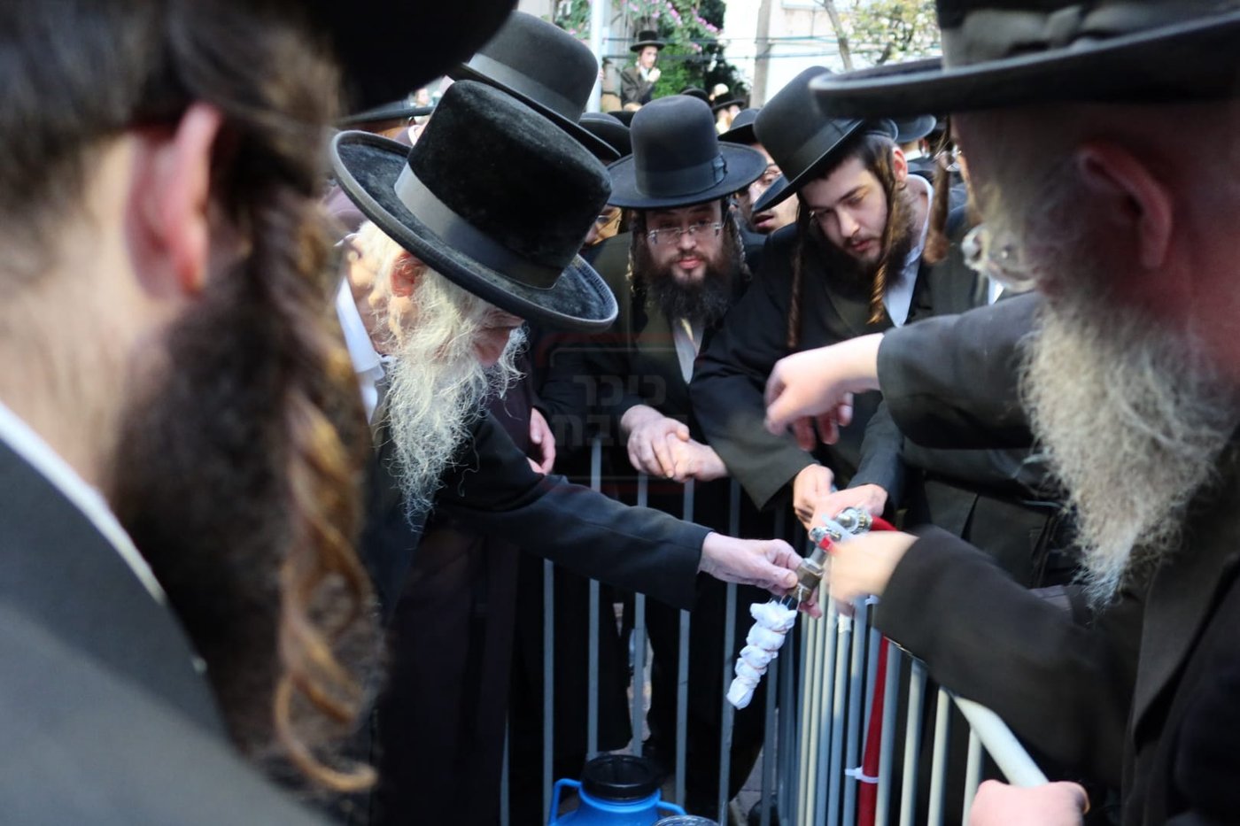 האדמו"ר מסטריקוב במים שלנו