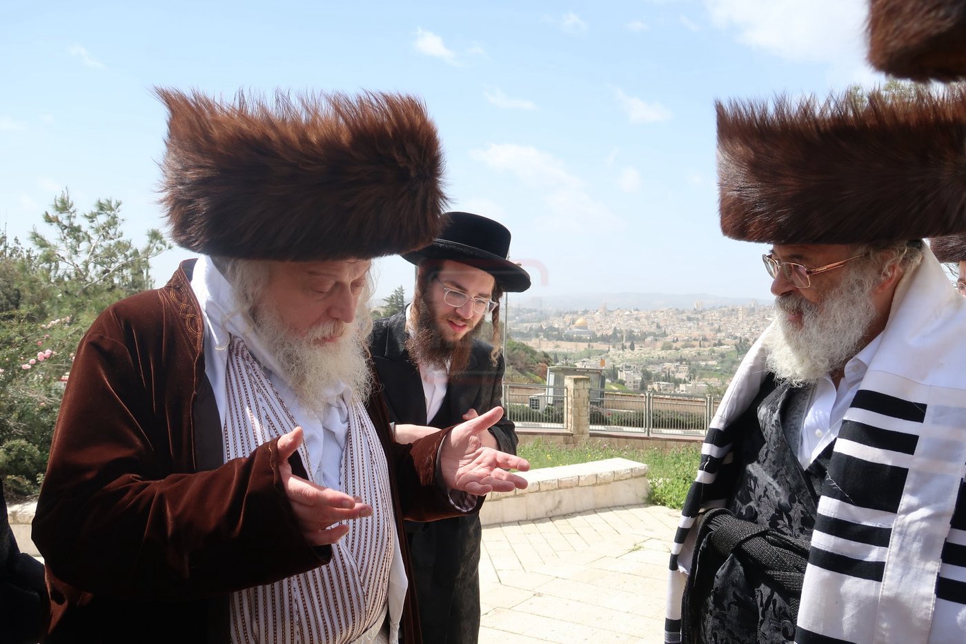 האדמו"ר ממבקשי אמונה בתפילה בהר הצופים