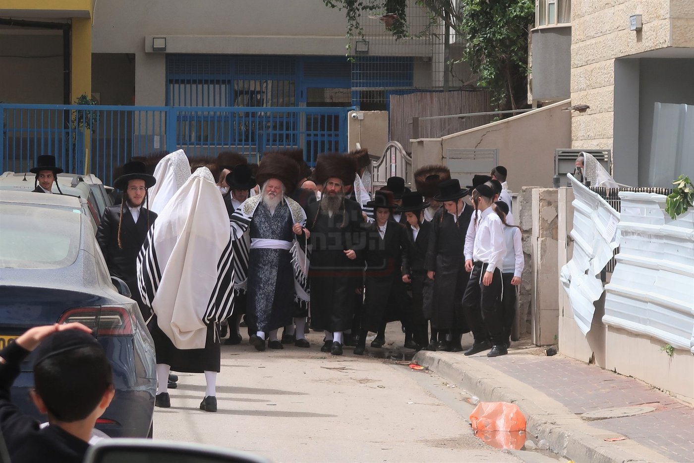 האדמו"ר מפרמישלאן בברכת האילנות