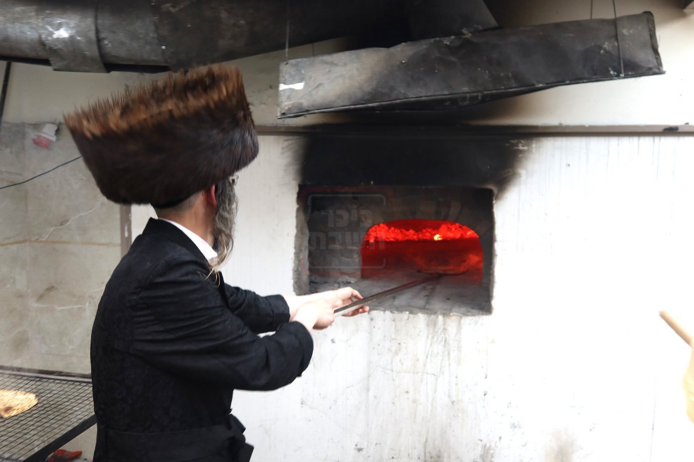 חג הפסח בחצה"ק זוועיהיל