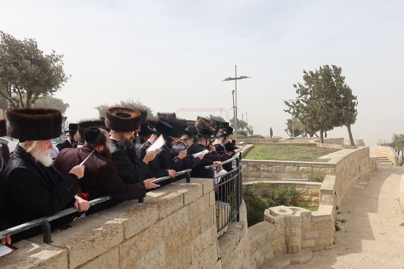 חג הפסח בחצה"ק זוועיהיל